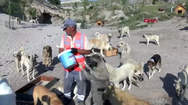 kayseri koronavirus engeline takilan patikoy yeniden acildi