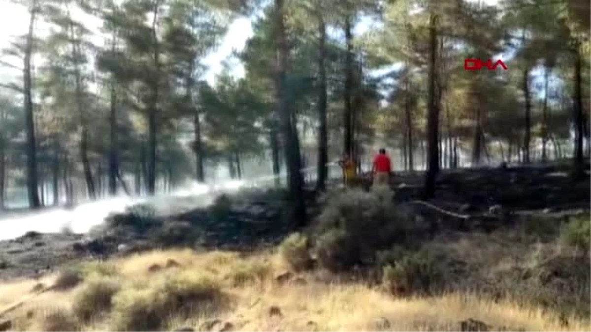 Kırıkhan\'da 10 hektarlık orman yandı