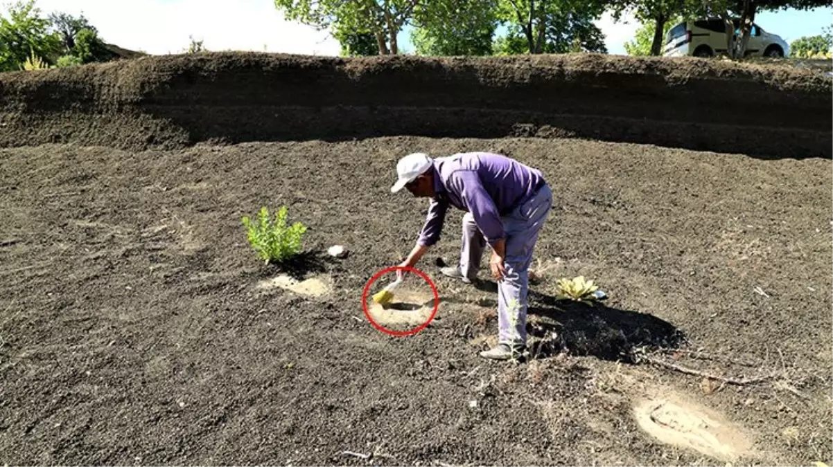 Köyün muhtarı, 12 bin yıllık ayak izlerine gözü gibi bakıyor