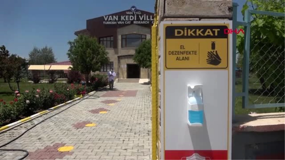 Van Kedi Villası yeni kurallarla ziyarete açıldı