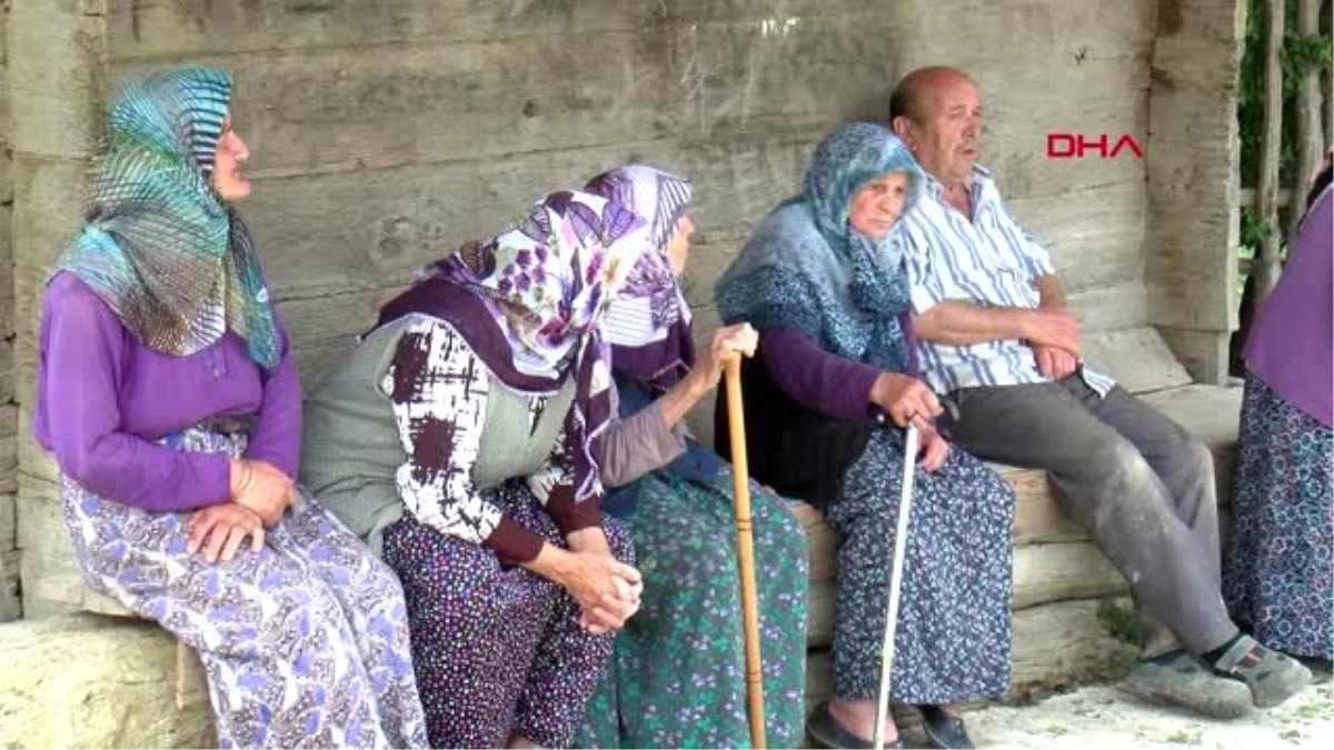 Yumurta büyüklüğünde yağdığı söylenen dolu, tarım arazilerine zarar verdi