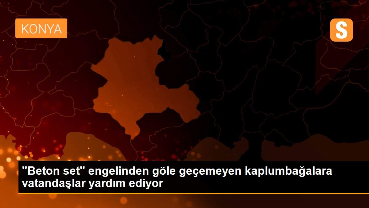 "Beton set" engelinden göle geçemeyen kaplumbağalara vatandaşlar yardım ediyor