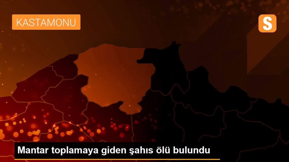 Mantar toplamaya giden şahıs ölü bulundu