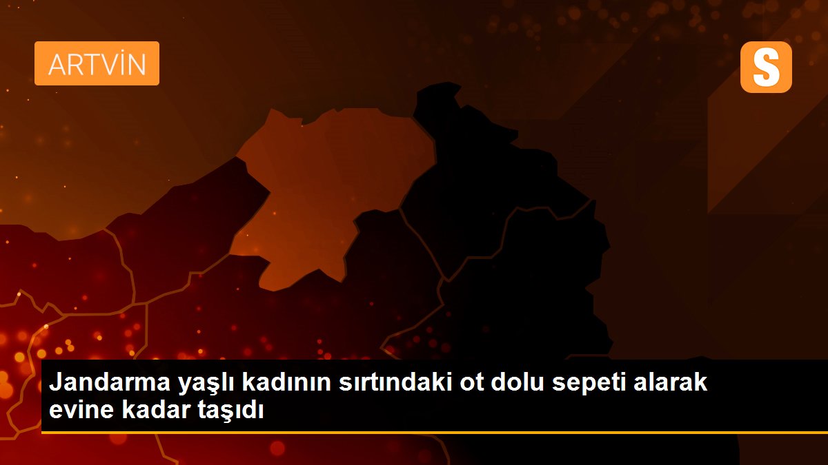 Jandarma yaşlı kadının sırtındaki ot dolu sepeti alarak evine kadar taşıdı