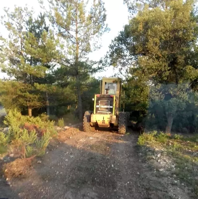 Mantar toplamaya giden vatandaşlarımıza kurulan çivili yol tuzağına Valilik el koydu