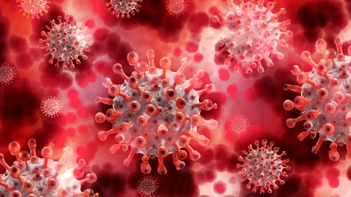 Prof. Dr. Çetin Açıkladı: Koronavirüs Mutasyona Uğramış Olabilir