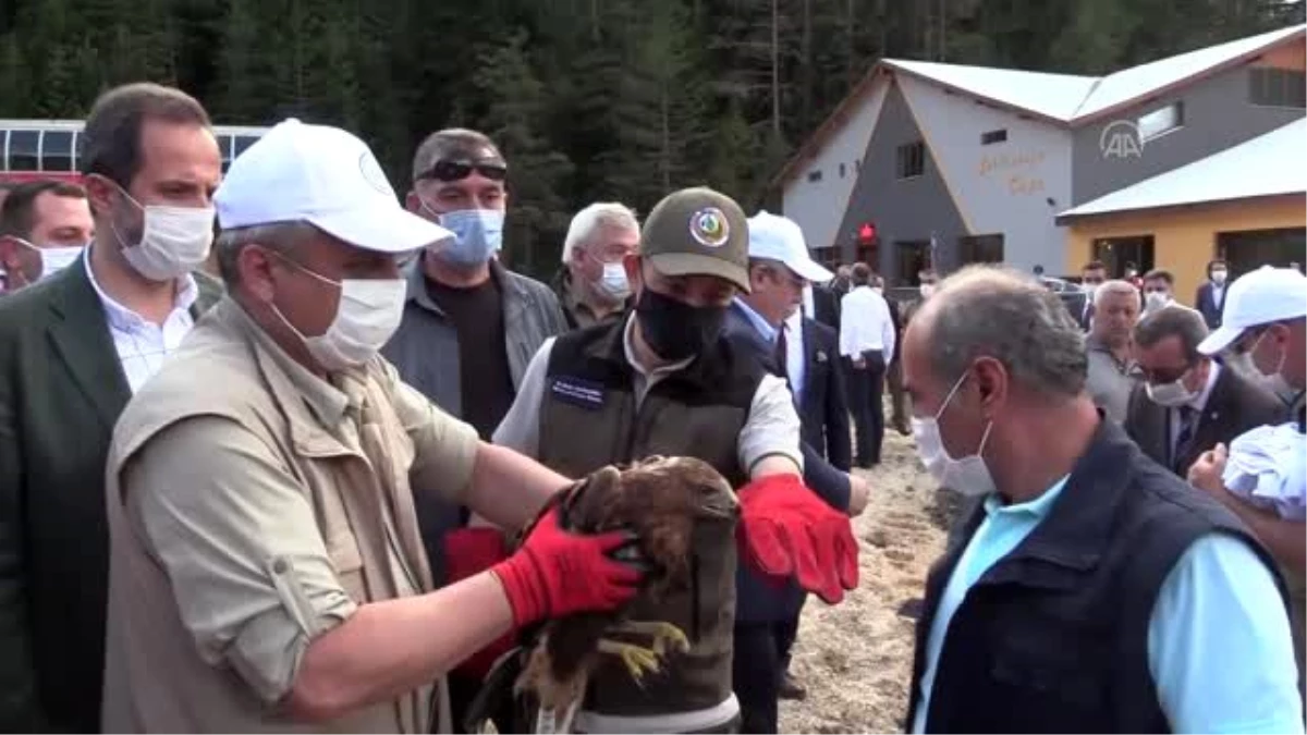 Bakan Pakdemirli doğaya şahin bıraktı