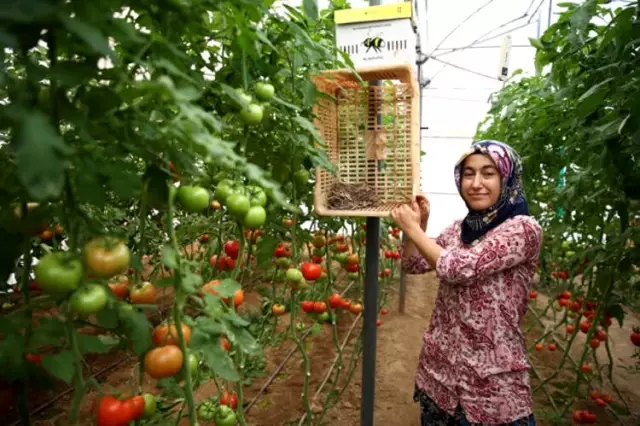 Eşinin dolandırıldığı mesaj girişimci kadına ilham kaynağı oldu! Şimdilerde 2 dönümlük seraya sahip