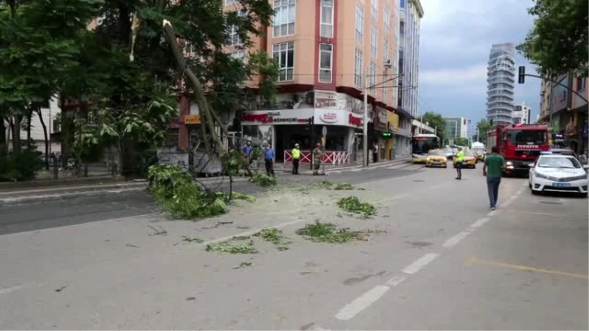 Sağanak ve fırtına hayatı olumsuz etkiledi (3)