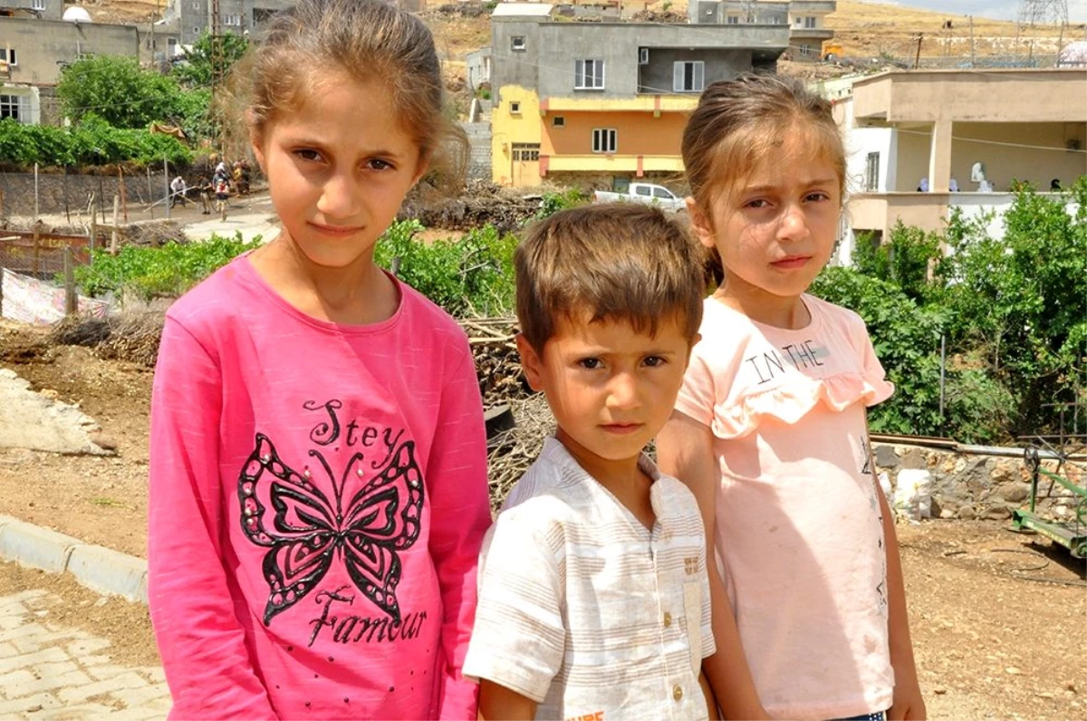 Terör örgütü PKK\'nın hain tuzağı 9 çocuğu babasız bıraktı