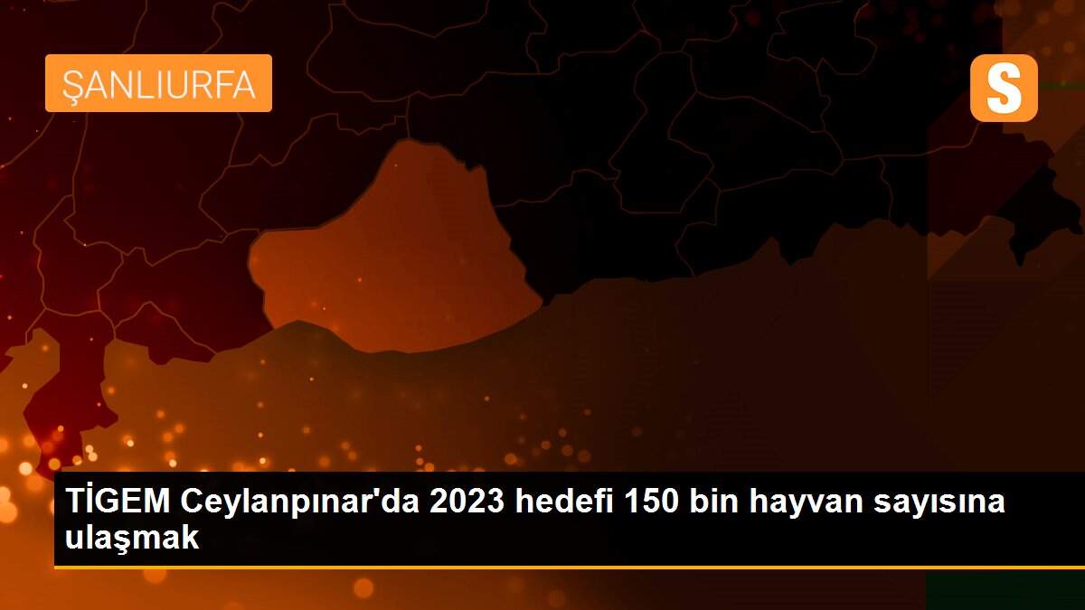 TİGEM Ceylanpınar\'da 2023 hedefi 150 bin hayvan sayısına ulaşmak