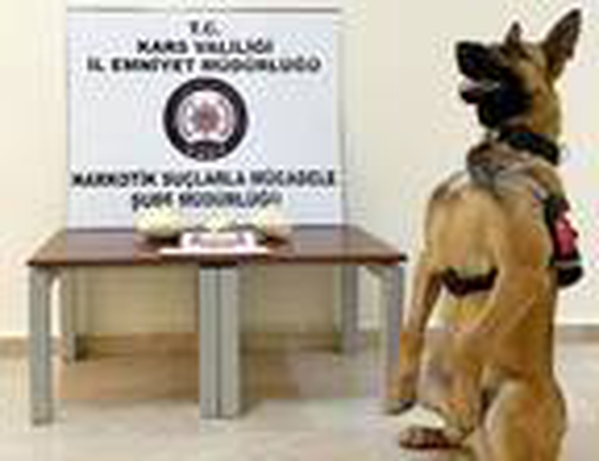 Araçtaki uyuşturucu bulan Odin\'in zafer pozu