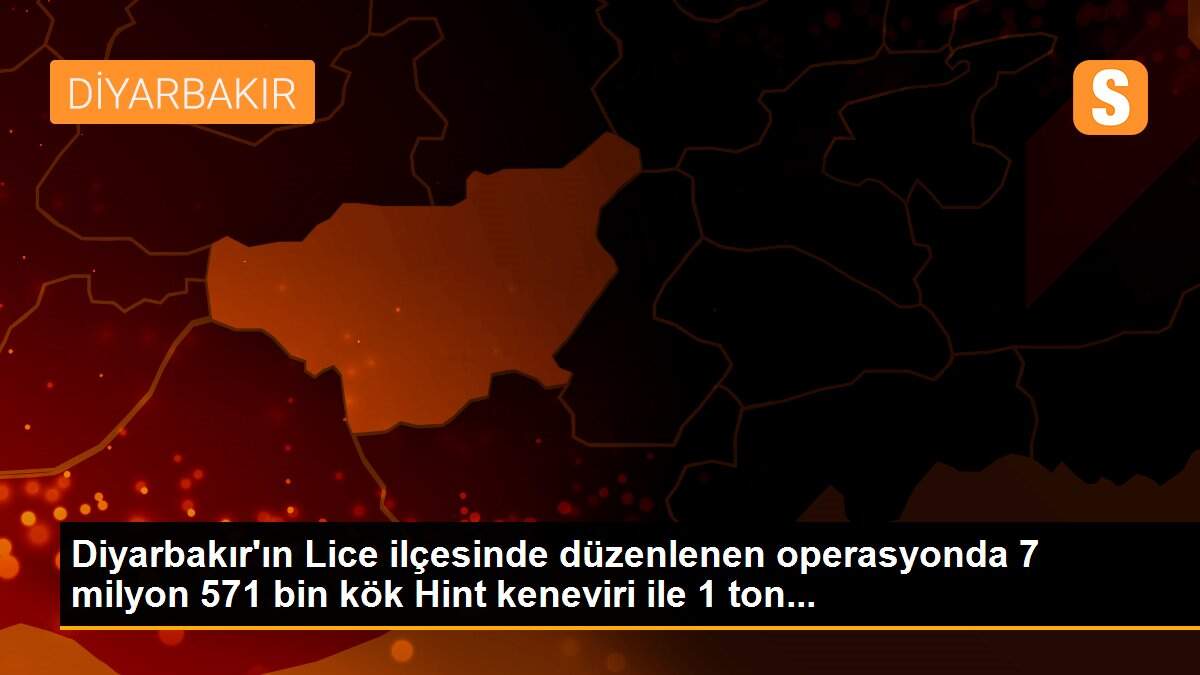 Diyarbakır\'ın Lice ilçesinde düzenlenen operasyonda 7 milyon 571 bin kök Hint keneviri ile 1 ton...