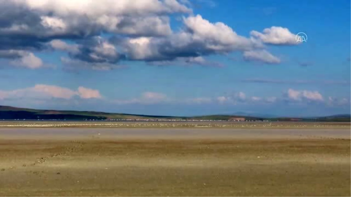 Seyfe Gölü Kuş Cenneti son üç gündür yağışlarla hayat buldu