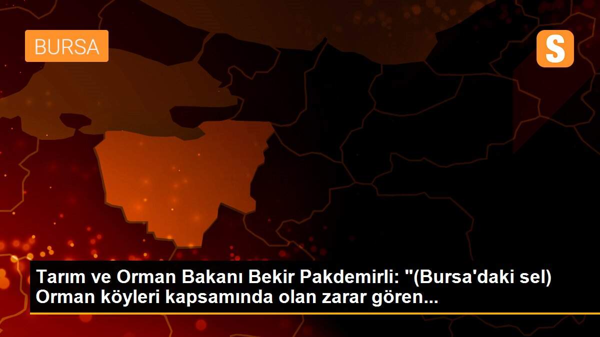 Tarım ve Orman Bakanı Bekir Pakdemirli: "(Bursa\'daki sel) Orman köyleri kapsamında olan zarar gören...