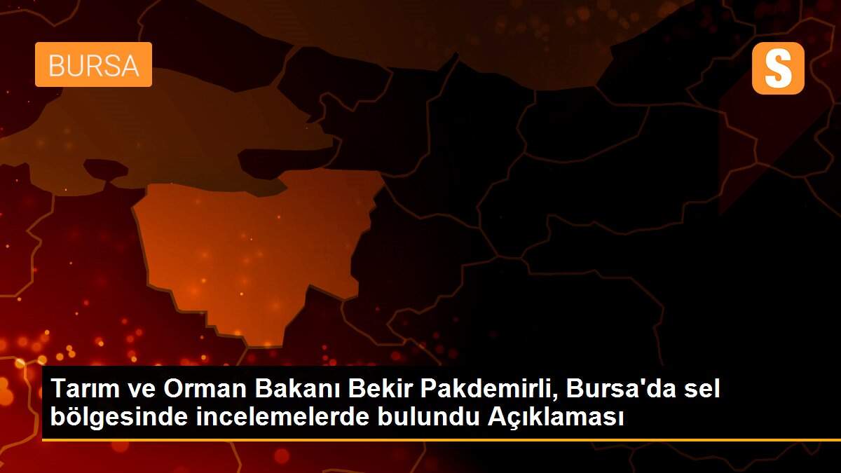 Tarım ve Orman Bakanı Bekir Pakdemirli, Bursa\'da sel bölgesinde incelemelerde bulundu Açıklaması