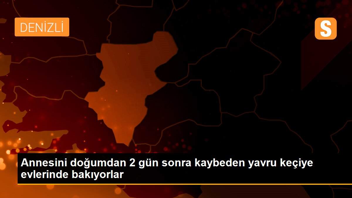 Annesini doğumdan 2 gün sonra kaybeden yavru keçiye evlerinde bakıyorlar