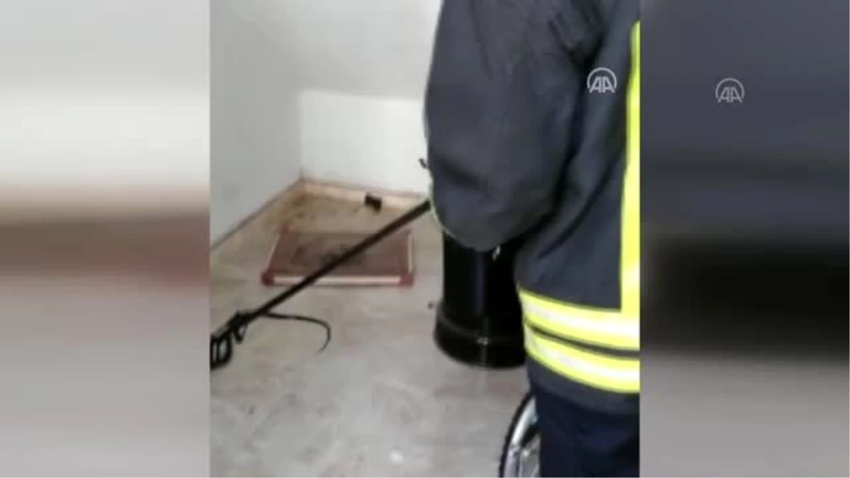 Apartmanın merdiven boşluğunda yakalanan yılan doğaya bırakıldı