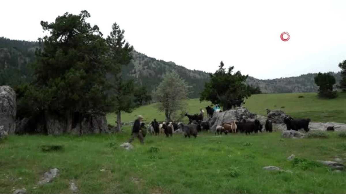 Dağ köyünde yıllardır yalnız yaşıyor