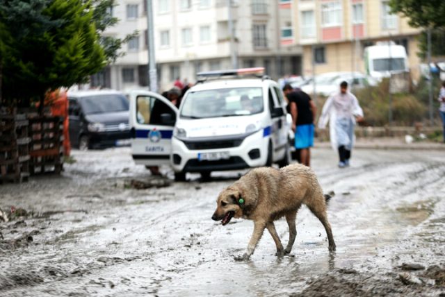 İstanbul Valiliği sağanak sonrası oluşan hasarın bilançosunu paylaştı