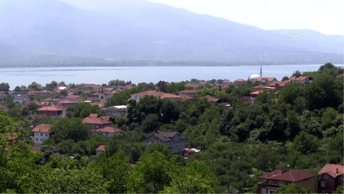 Kocaeli\'de yetiştirilen erikler İstanbul\'da sofraları süslüyor