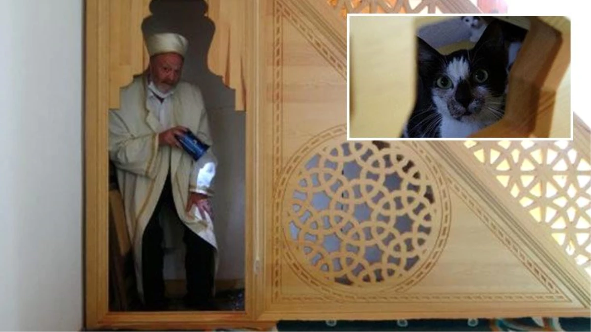 Namaz kıldığı sırada bir kedi gören imam, minberin altına bakınca olayı çözdü