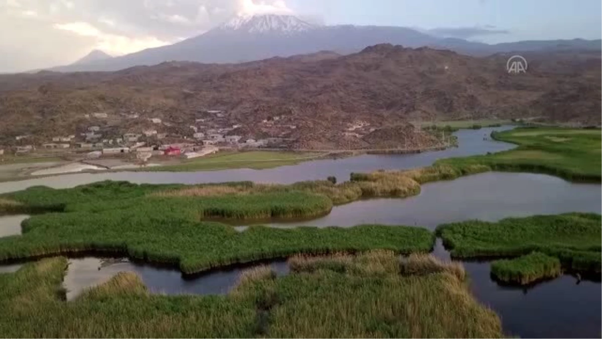 Son dakika haberleri! Ağrı Dağı Milli Parkı yaban hayatı zenginliğiyle ilgi çekiyor