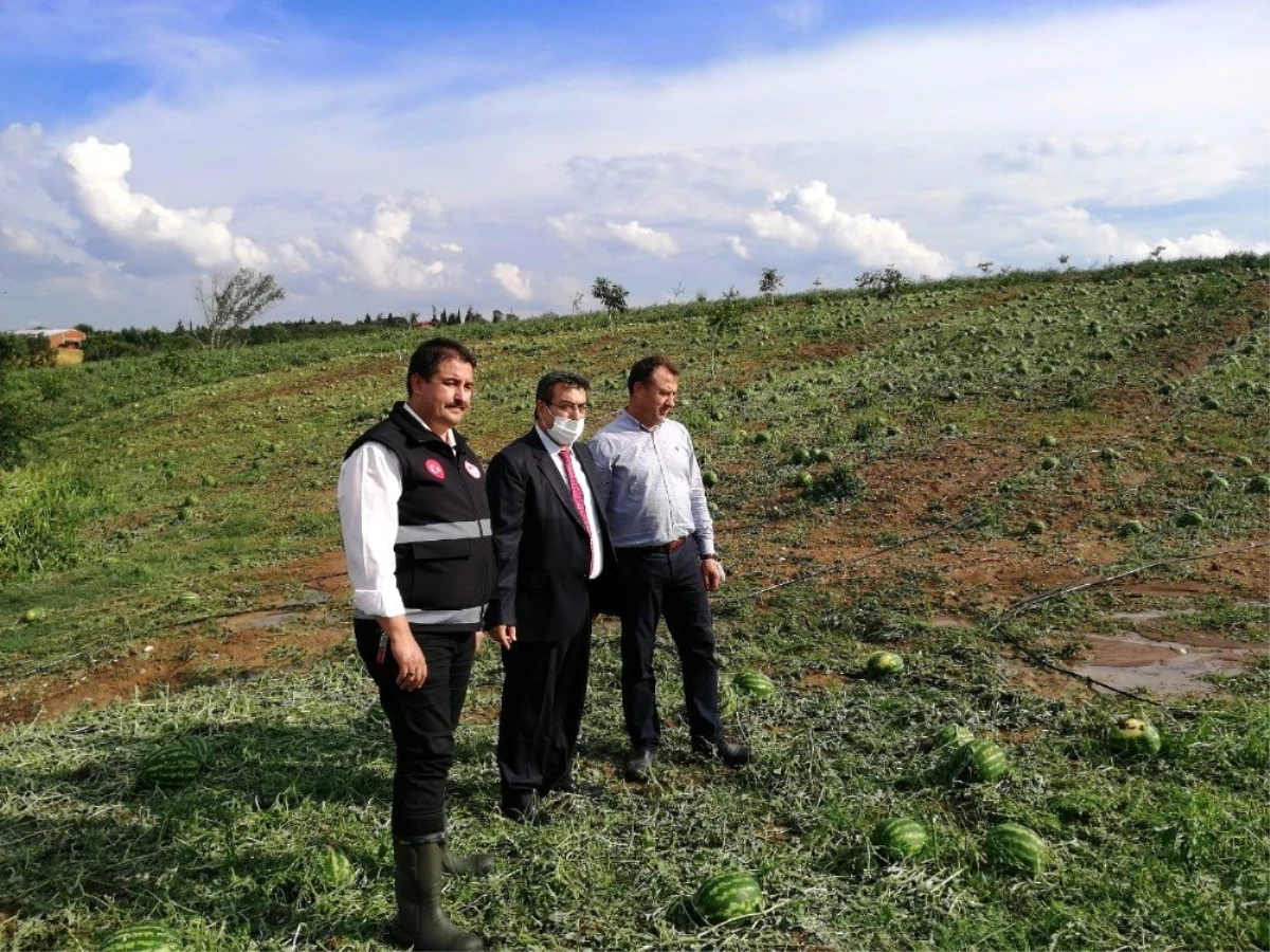 Biga\'da tarım arazileri şiddetli dolu nedeniyle zarar gördü