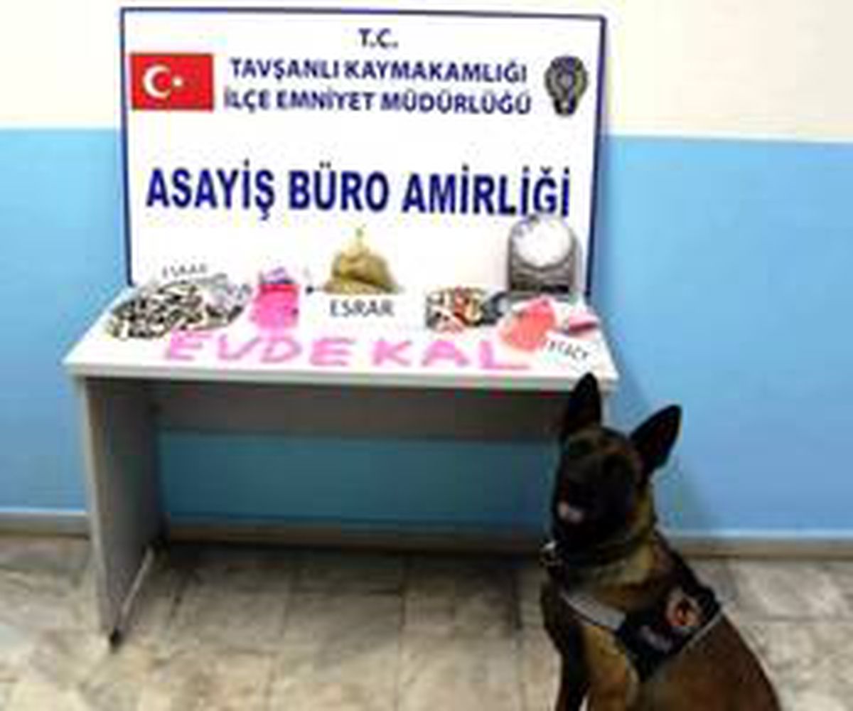 Tavşanlı\'da uyuşturucu operasyonu