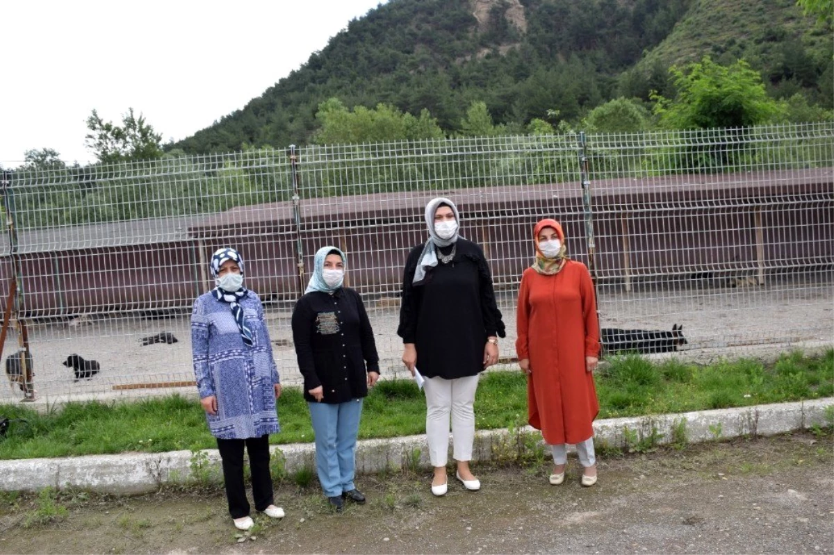 AK Partili kadınlardan \'Bir Kap Su, Bir Kap Mama\' kampanyası