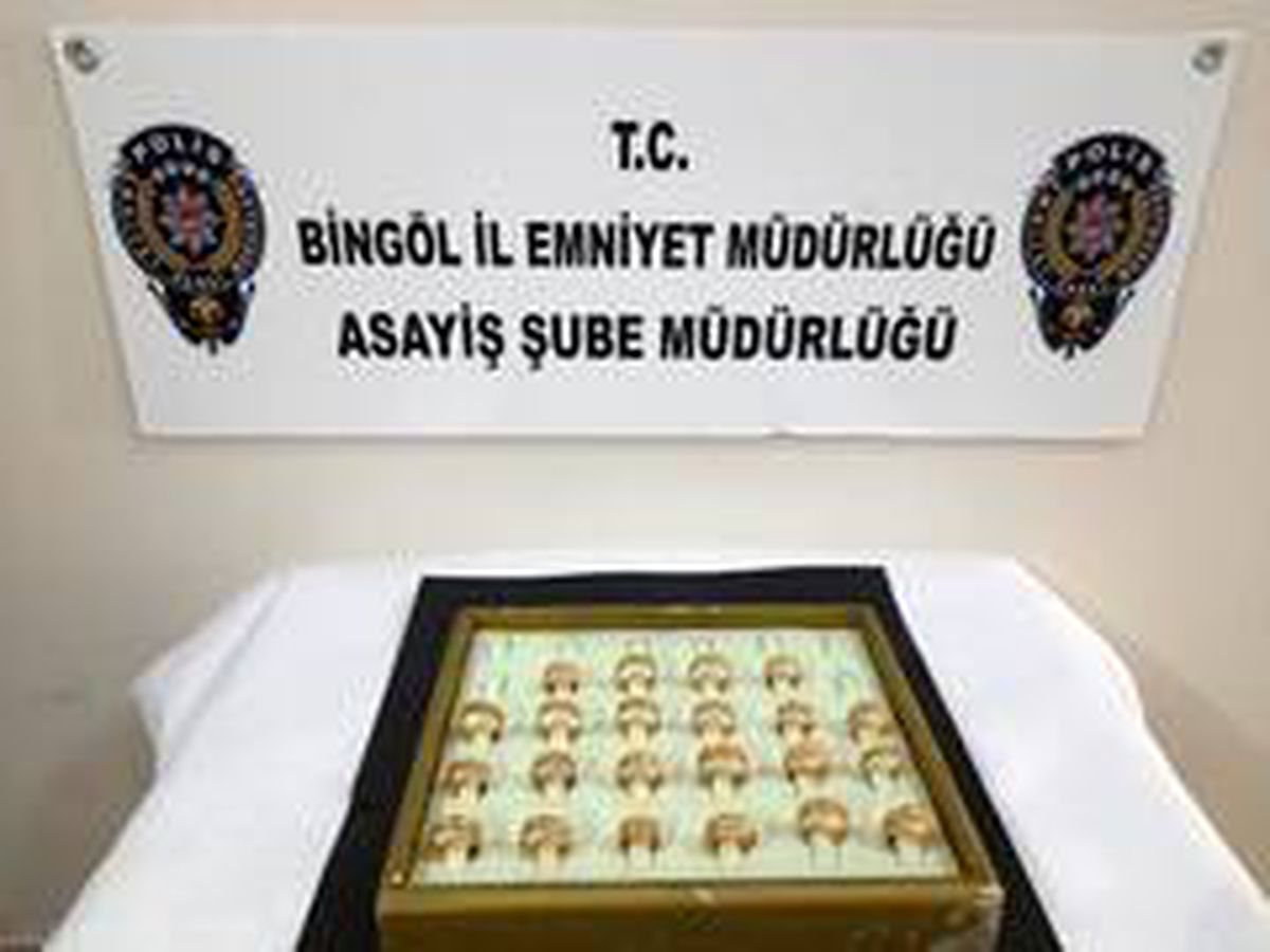 Bingöl\'de hırsızlık olayları aydınlatıldı