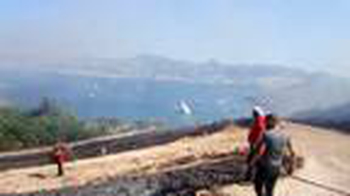 Bodrum\'da, yerleşim yerlerine yakın makilik yangını (2)