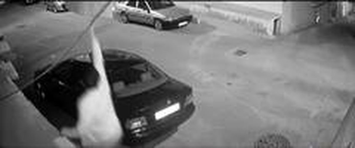 Sancaktepe\'de halı hırsızlığı kamerada