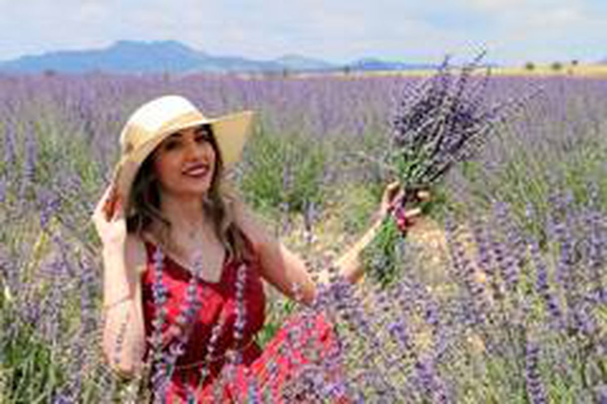 Uşak \'lavanta\' kokacak