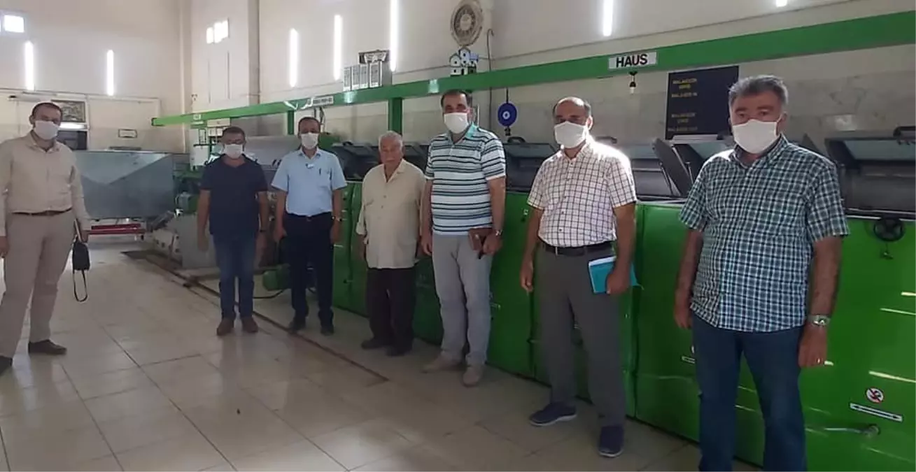 Zeytinyağı fabrikalarında inceleme başladı