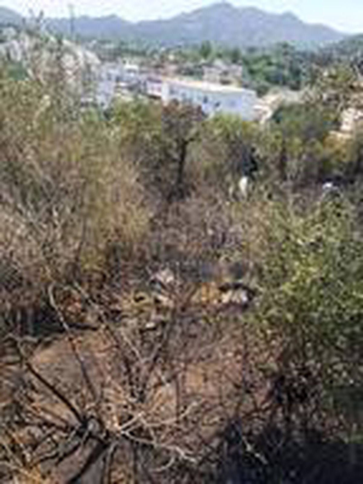 Bodrum\'da 1 hektarlık alan yandı