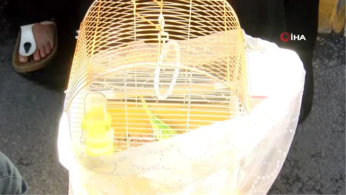 Son dakika haber | Dehşetin yaşandığı binadan 2 kuş kurtarıldı