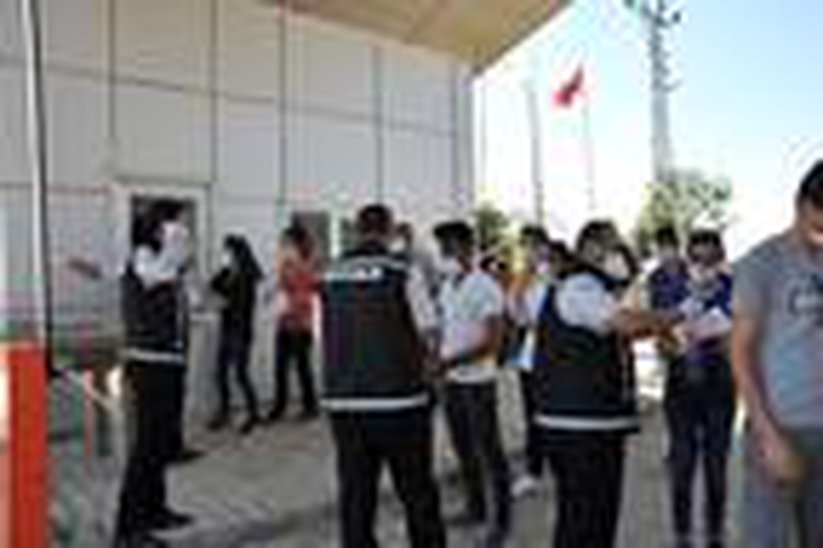 Rüzgarın uçurduğu YKS giriş belgesi ağacın dalına takıldı