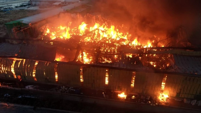 Adana'da nişasta fabrikası alev alev yanıyor - Son Dakika