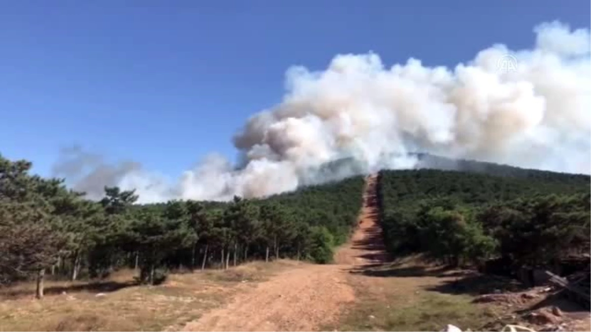 Ataşehir\'de ormanlık alanda yangın