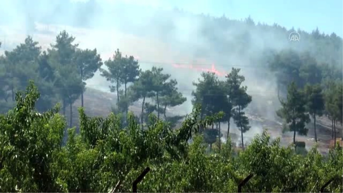 Çıkan orman yangını kontrol altına alındı