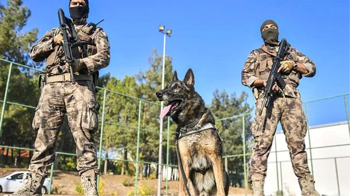Diyarbakır Valiliği, terör şüphelisine "köpekle işkence yapıldı" iddialarını yalanladı