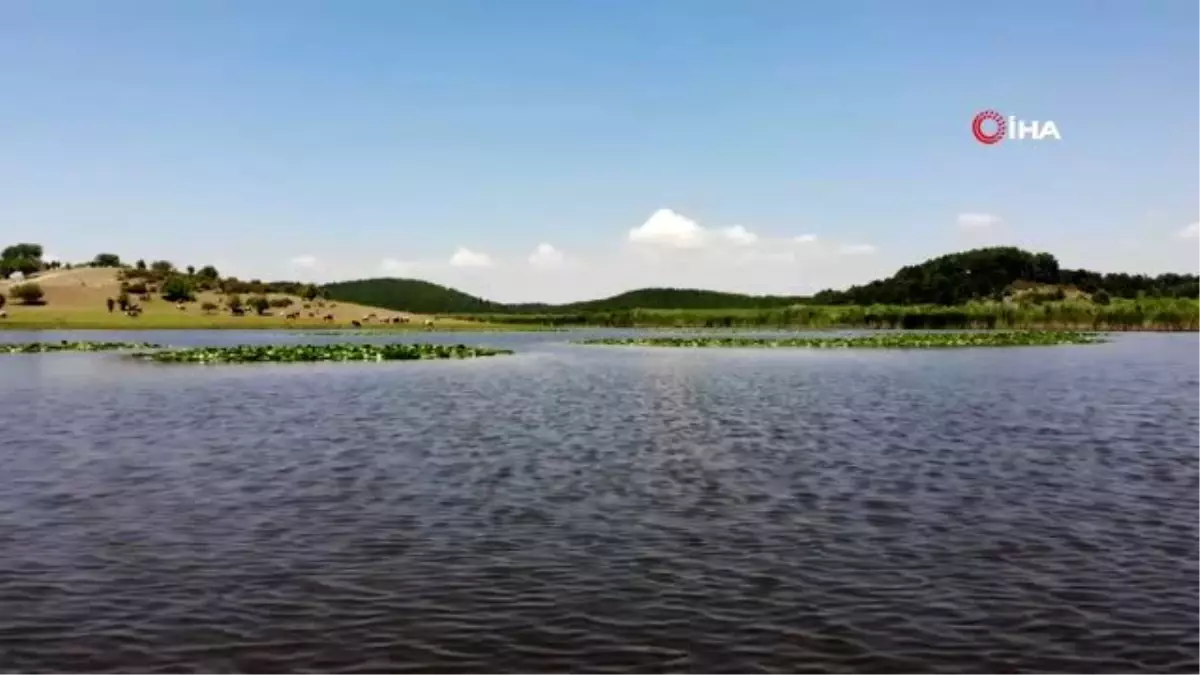 Doğa güzelliği Yayla Gölü hassas koruma alanı ilan edildi