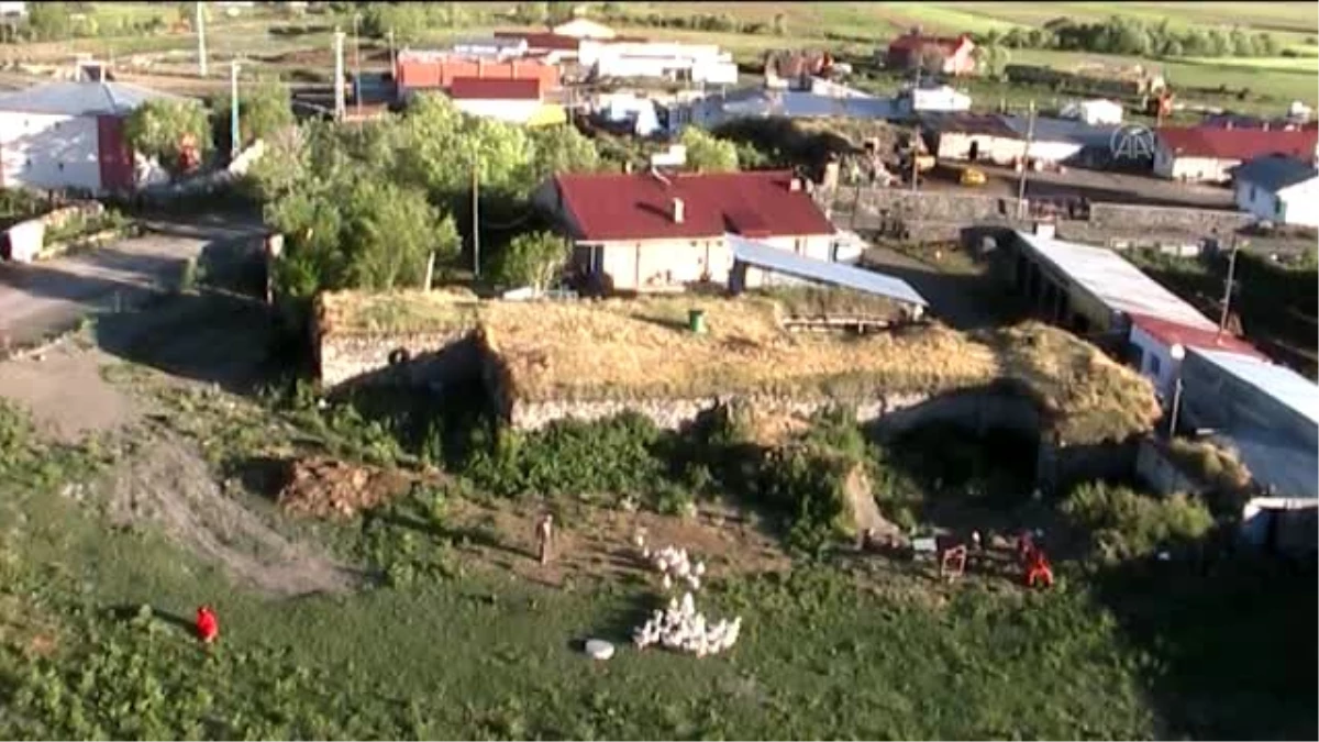 Doğasever köylüler sahip çıkınca leylekler Ağzıpek Köyü\'nü mesken tuttu