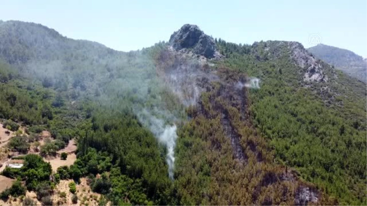 Son dakika haber! Gazipaşa\'da çıkan yangında 3 hektar orman alanı zarar gördü