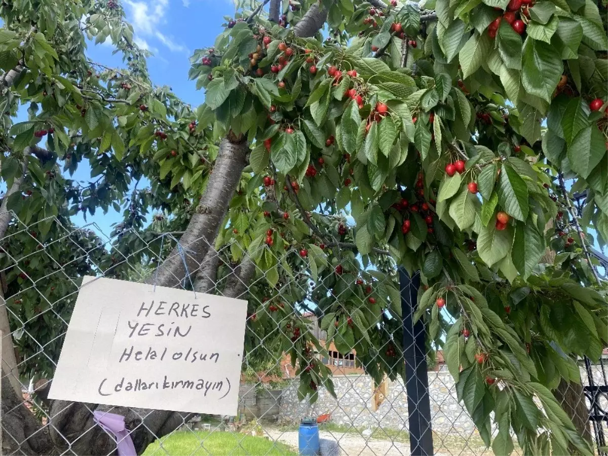 Bu notu gören kiraz yedi