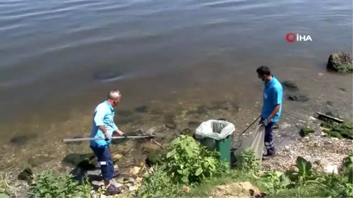 Çevre ve Şehircilik Bakanlığı ekipleri, balık ölümlerinin yaşandığı Küçükçekmece Gölü\'nden numune...