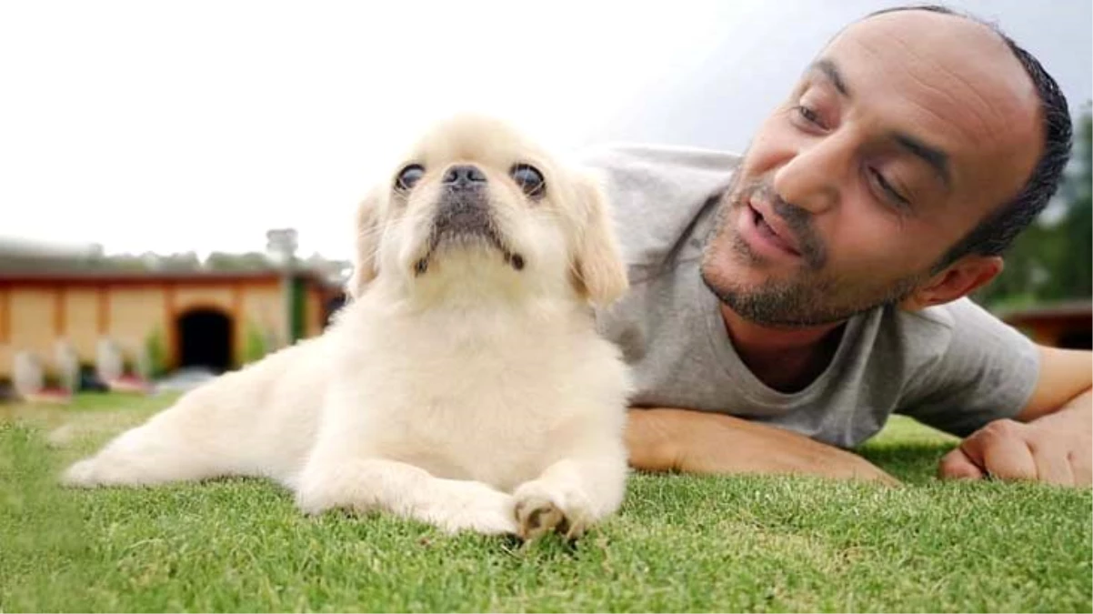 Eski Survivor yarışmacısı Ersin Korkut, köpeğinin ölüm haberini aldığı dakikaları anlattı