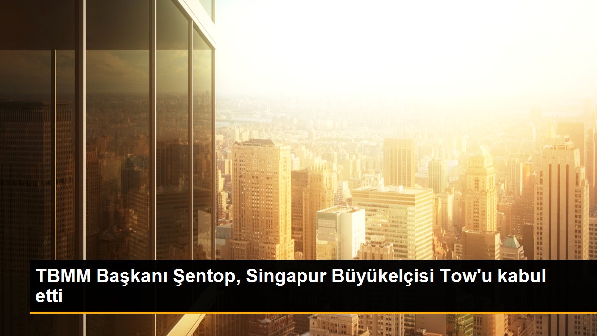 TBMM Başkanı Şentop, Singapur Büyükelçisi Tow\'u kabul etti