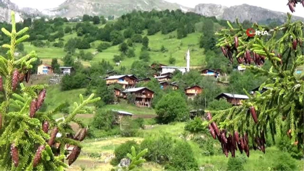 Bin 800 rakımlı köyde kamp keyfi